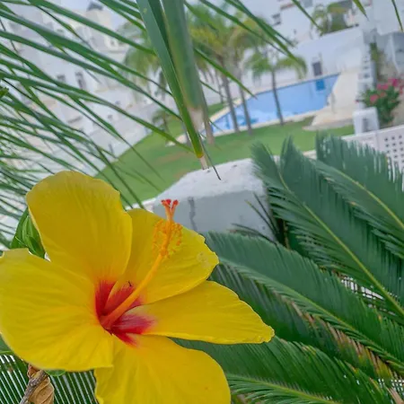 Golf Valle * Estepona