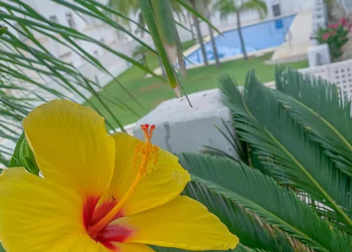 Golf Valle * Естепона